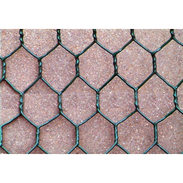PVC Coated Chicken Wire Fence (R-LJW)